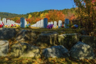 Daejeon, South Korea, November 3, 2019: Rows of headstones with background of trees in fall colors
