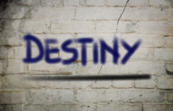 Destiny Concept