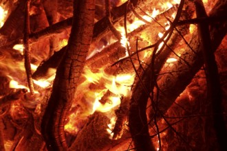 Fire with crackling flames burns branches and twigs and bathes the surroundings in reddish light.