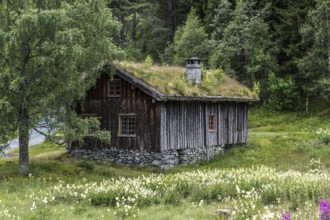 Traditional Timber house with grass roof in the Setesdal in Norway in natural landscape. Old Timber
