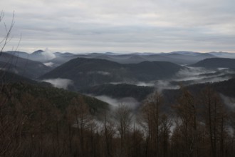 View from a sandstone cliff in the middle of the forest. Landscape with a marvellous view over a