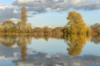 Flooded meadow after heavy rains. Autumn landscape. Bas-Rhin, Collectivite europeenne d'Alsace,