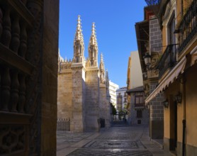 Granada Cathedral Royal Capilla area in Spain at Andalusia