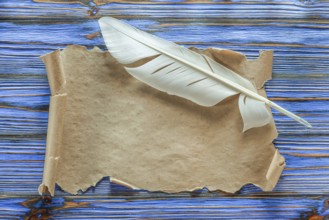 Vintage paper scroll plume on blue wooden board