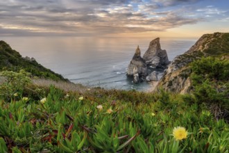 Farol do Cabo de Boca, Portugal's westernmost coast with a beach and flowers at sunset