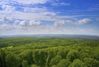Harz mountains aerial view in Germany