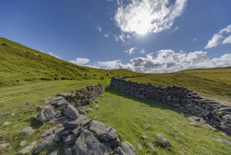 Hilly landscape with green meadows and stone wall, dry stone wall on the edge of Snowdonia National