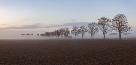 Landscape covered with fog in Central Bohemian Uplands, Czech Republic. Misty morning between