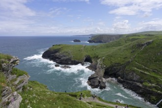 Coast, Coastal landscape, Tintagel Castle, Tintagel, England, Great Britain