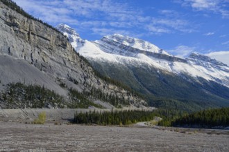 Beautiful autumn landscape scene in mountain in background in Jasper National Park west Canada