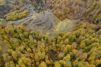 Drone aerial of Autumn forest road. View of autumn forest road with fallen leaves Fall season