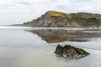 Cliffs at the south coast of New Zealand's North Island