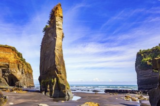 Amazing rock formations on Tongaporutu beach. Pacific coast. New Zealand. Narrow strip of sand
