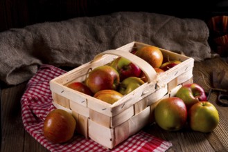 Autumn Apple