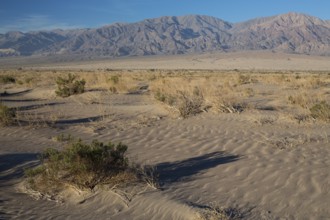 Landscape, near Fiambala, Andes, Mountain, Argentina