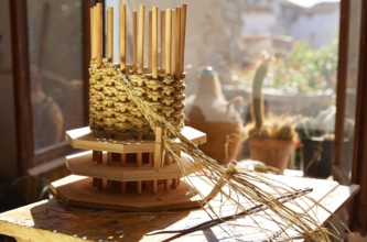 Esparto halfah grass used for crafts as cords basketry and espadrilles