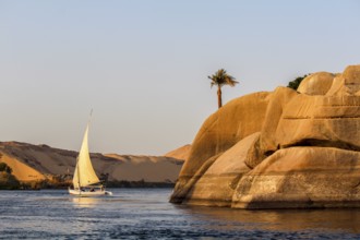Sailboat on the Nile river at sunset, rock with ancient carvings in the front, Egypt