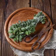 Aromatic oregano (Origanum vulgare)