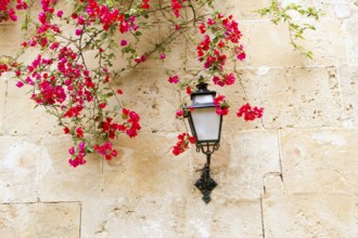 Bougainvilleas in stone wall and street light in Mediterranean Majorca Balearic islands