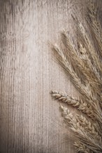 Wheat-rye ears on wooden board food and drink concept