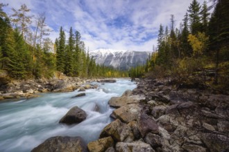 Beautiful autumn landscape scene in mountain in background in Yoho National Parkwest Canada