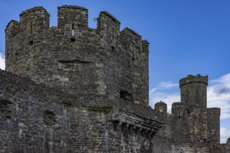 Conwy Castle, castle wall and towers of the medieval castle ruins, Conwy, Wales, Great Britain