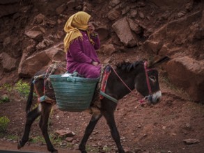 Berber woman riding a donkey, Ait Blal, azilal province, Atlas mountain range, morocco