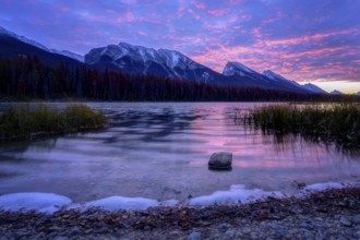 Beautiful autumn landscape scene in mountain in background in Jasper National Park west Canada