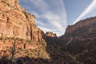 Hiking the Left Fork Trail to the Subway gorge, Zion National Park, USA