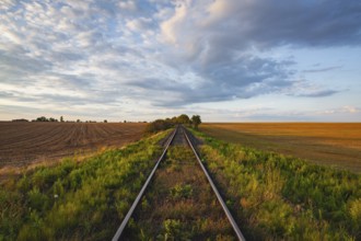 Old Railway tracks running through a field stretch to rural countryside at sunset. Single railway