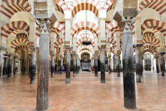 La Mezquita, Mosque, Cathedral of Cordoba, Cordoba, Andalusia, Spain, Europe, Open hall with
