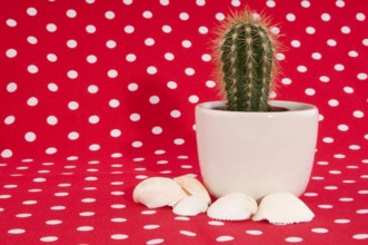 Cactus on red speckles cloth whit shells