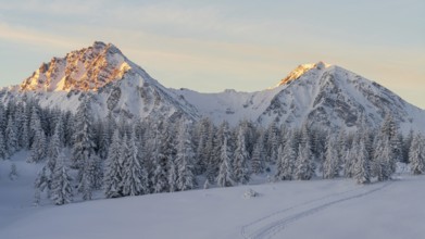 Winter landscape picture from tannheimer valley mountain pirschling and schönkahler with fresh snow