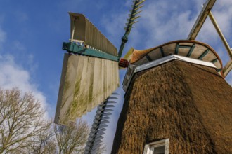 Windmill with large wings in front of a clear sky and surrounded by nature, burlage, east frisia,