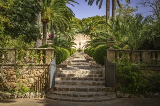 Stone steps lead through a Mediterranean garden with lush palm trees, Jardines de Alfabia, Bunyola,