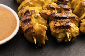 Delicious Asian Cuisine Chicken Satay