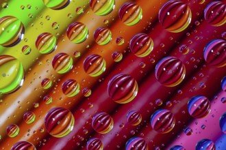 Color pencils under glass with drops of water. Office concept