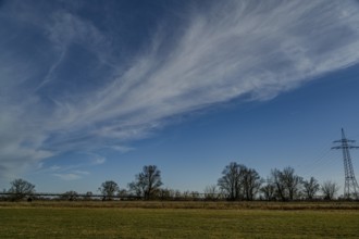 Wide field with clouds and trees under a vast sky, Danube, Bogen, Lower Bavaria