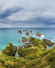 South Island, New Zealand. The picturesque coast of the Pacific Ocean near Nugget Points. Big