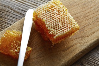 Honey honeycomb detail macro texture on wood