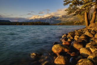 Beautiful autumn landscape scene in mountain in background in Jasper National Park west Canada