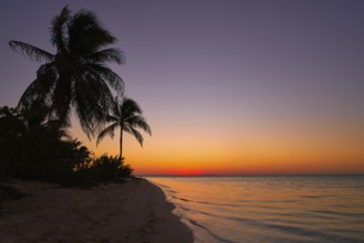 Holbox island sunset beach palm tree tropical in Mexico