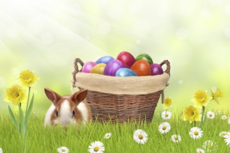 Easter Bunny