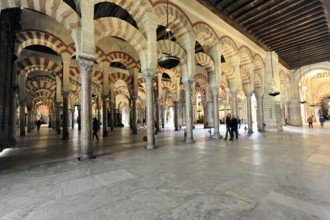La Mezquita, Mosque, Cathedral of Cordoba, Cordoba, Andalusia, Spain, Europe, Spacious mosque