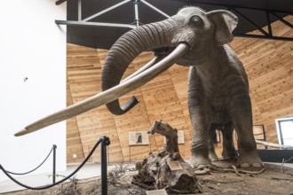 Model of mastodon in real stature