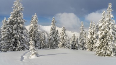 View from Mountain Wannenkopf near Nagelfluhkette in winter above the clouds