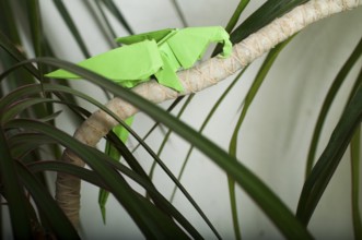 Parrot on a tree. Folded origami style. Paper made parrot