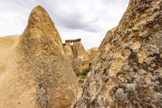 Rock Formation in the Devrent Valley in Cappadocia, Camel Valley, Turkey