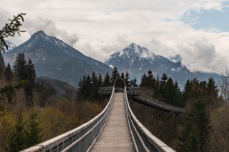 Treetop walk in Ziegelwies, a town near the border between Austria and Germany with views over the