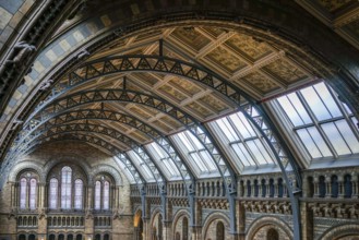 Ceiling detail of the Natural History Museum in London